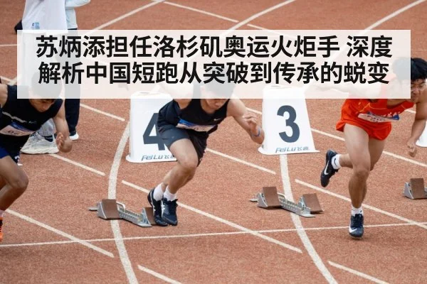 苏炳添担任洛杉矶奥运火炬手 深度解析中国短跑从突破到传承的蜕变